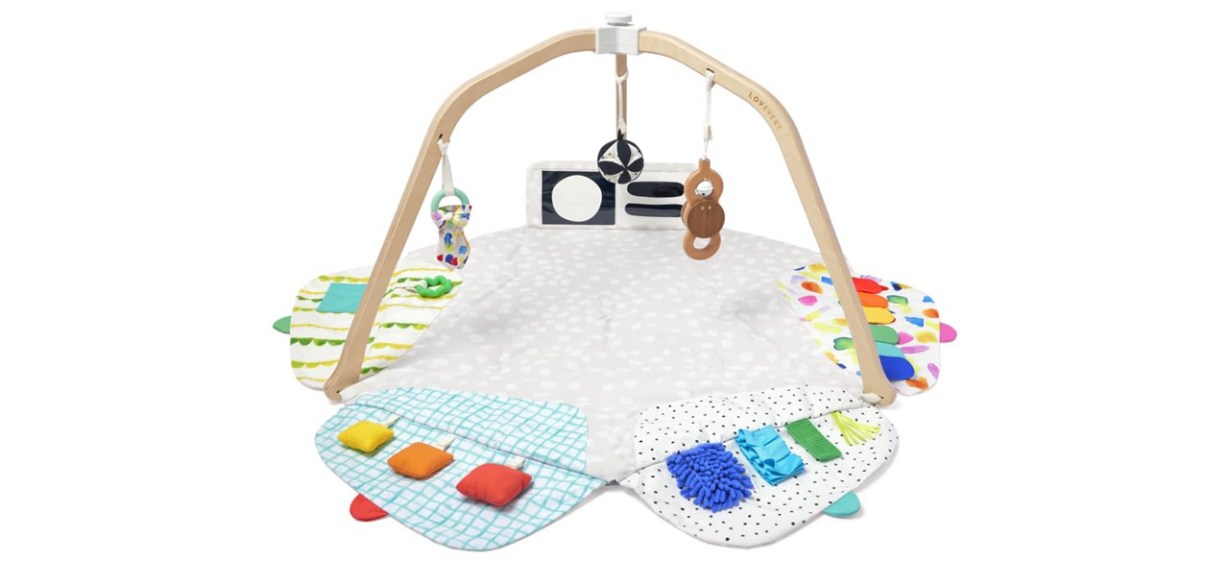 Best The Lovevery Play Gym