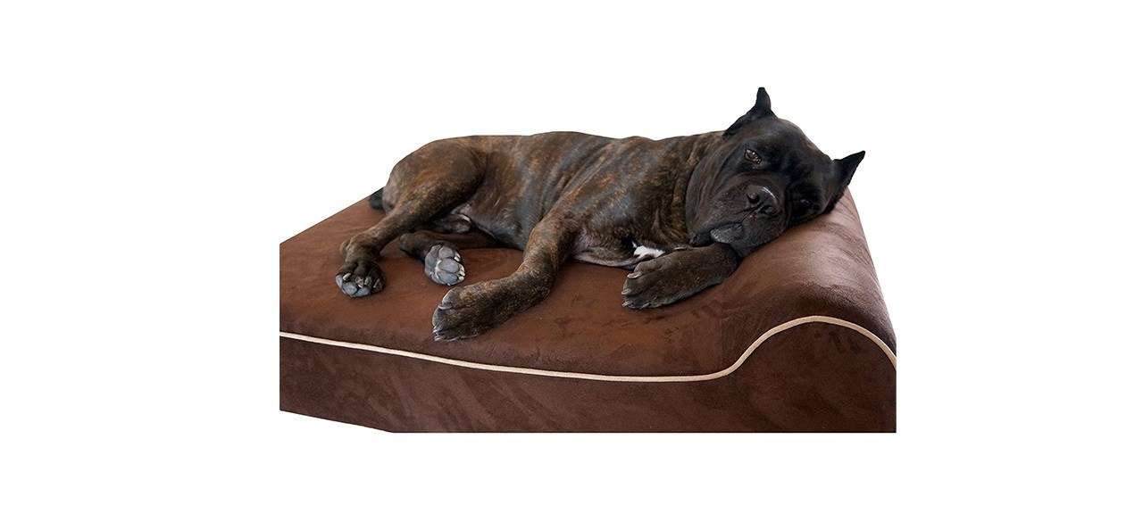 Bully beds orthopedic hotsell memory foam dog bed