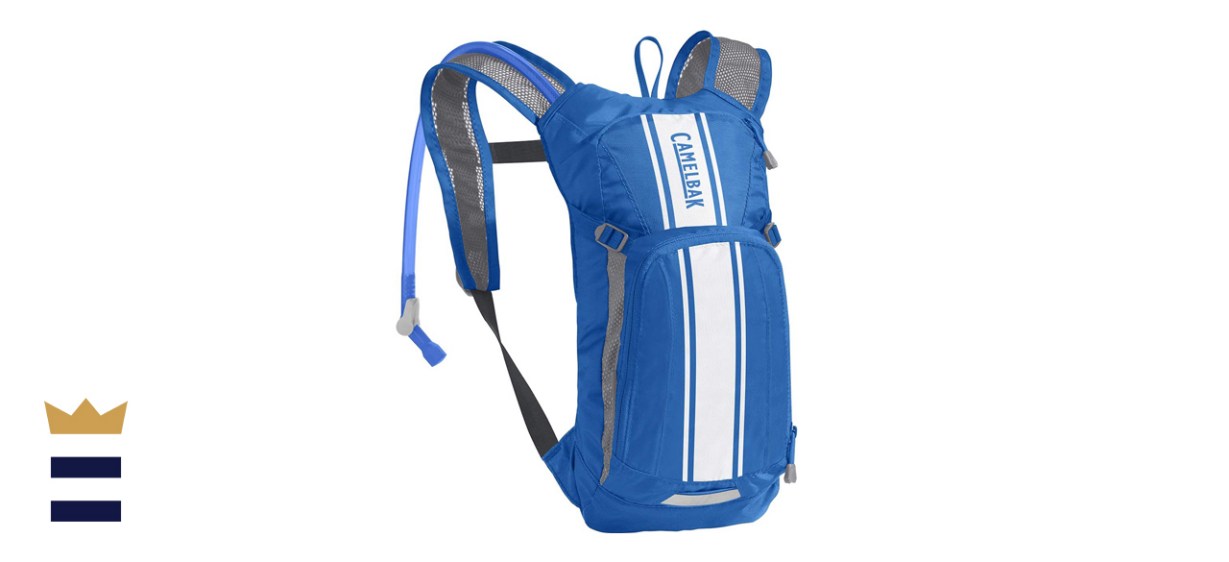 CamelBak Mini Mule