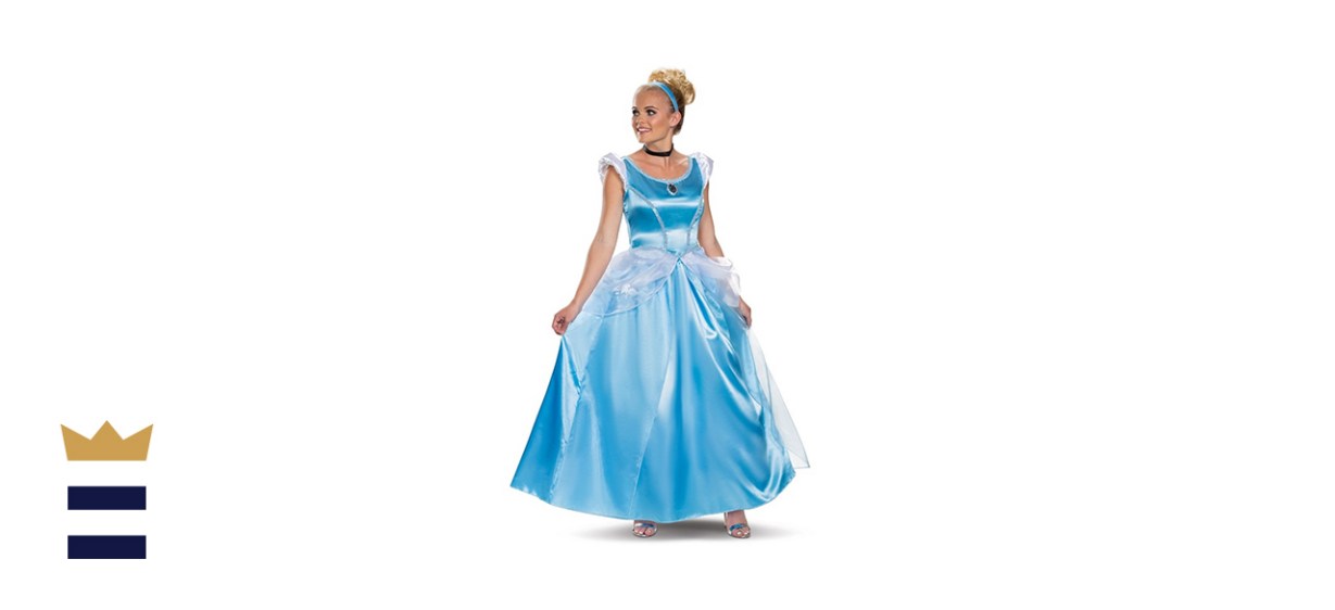 Deluxe Cinderella Costume by the Disguise Store