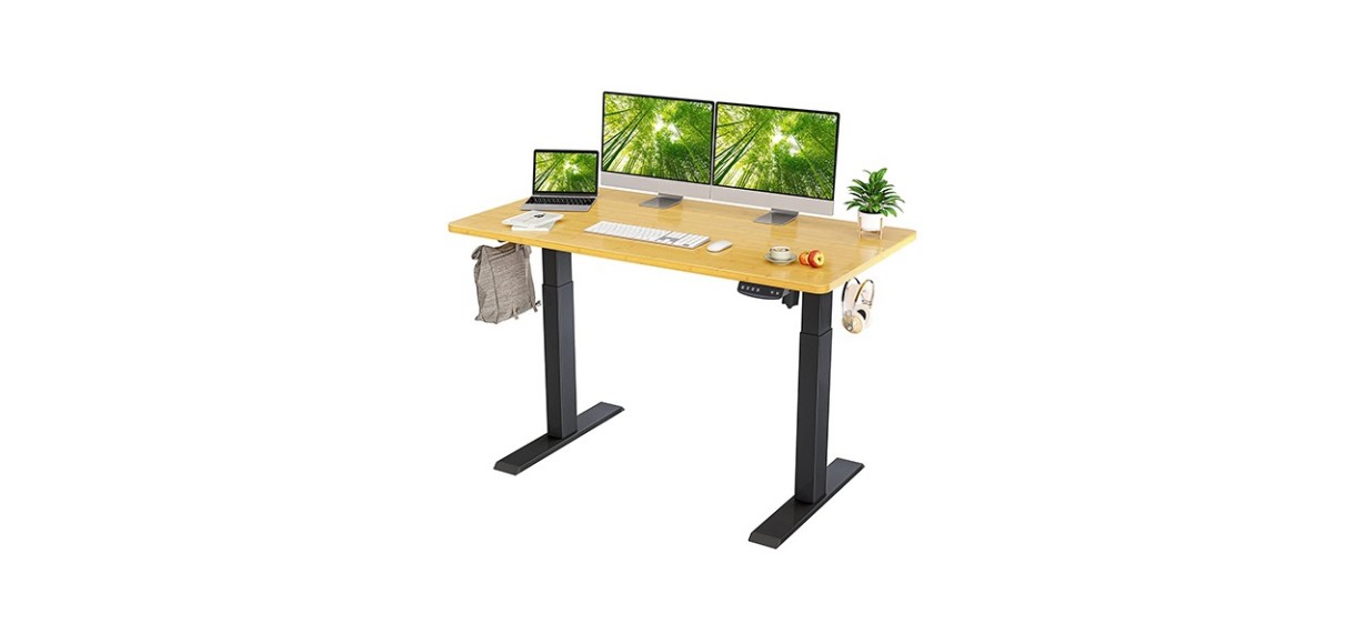 Fezibo Height Adjustable Electric Standing Desk