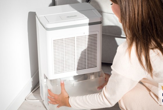 Frigidaire dehumidifier vs. Toshiba dehumidifier