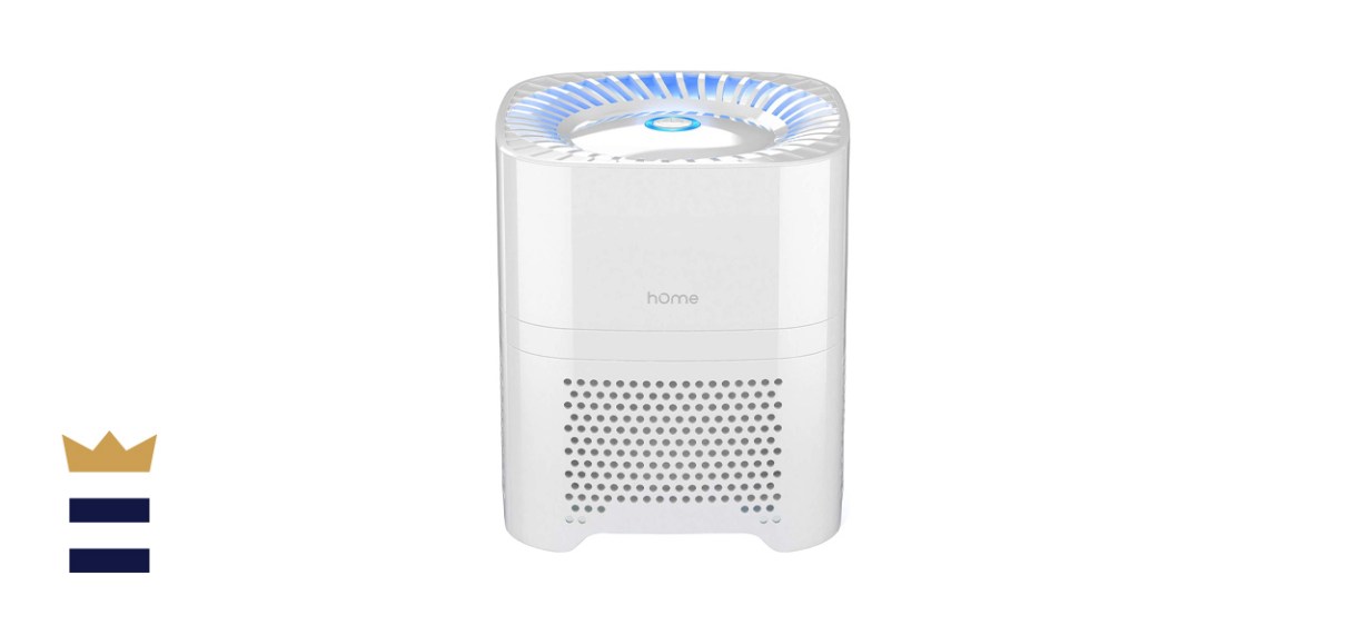 hOmeLabs 4-in-1 Compact Air Purifier