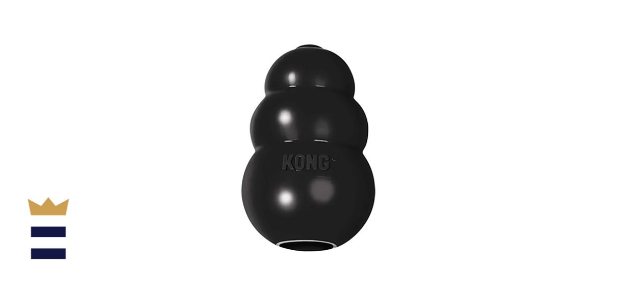 KONG Extreme Dog Toy