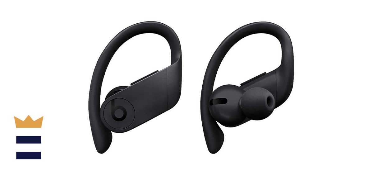 Beats Powerbeats Pro Wireless Earbuds