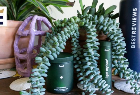 Seed probiotic review: Are these shelf-stable supplements worth it?