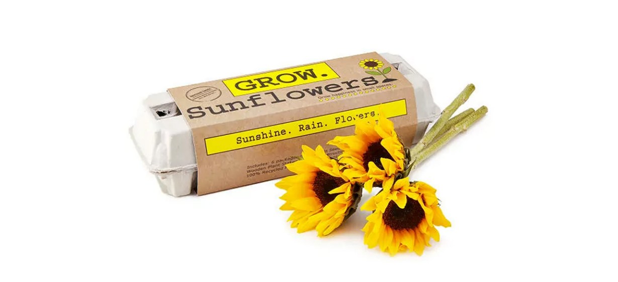 Sunflower Garden Grow Kit