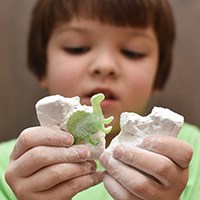 a boy playing with a fossil kit
