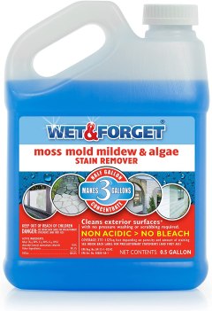 Wet & Forget Mold Stain Remover