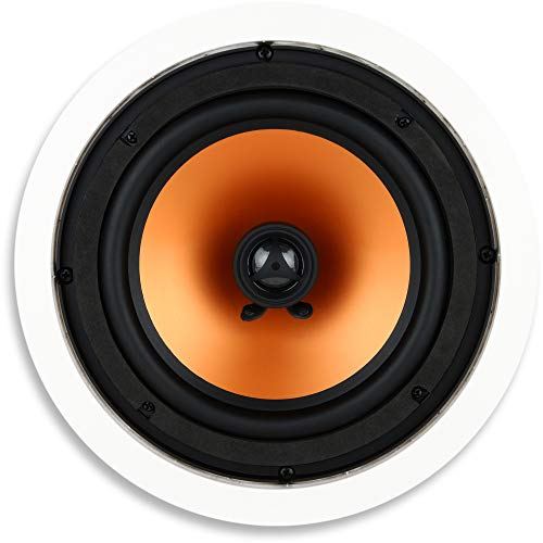 Micca 8&quot; 2-Way Speaker