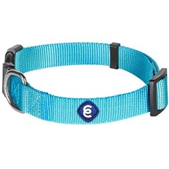 Blueberry Pet Classic Nylon Dog Collar