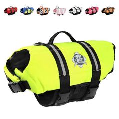 Paws Aboard Dog Life Jacket