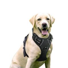 Rabbitgoo No Pull Dog Harness