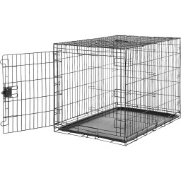 Amazon Basics