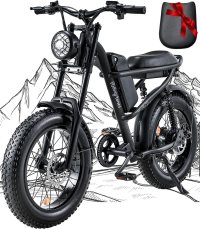 Riding'times 1500W Electric Bike