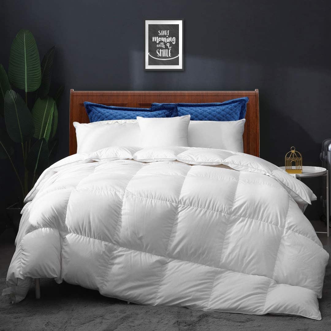 APSMILE All Season Goose Down Comforter