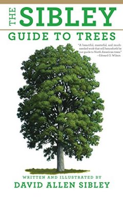 David Allen Sibley The Sibley Guide to Trees