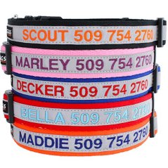 GoTags Personalized Reflective Dog Collar