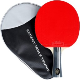 Expert Table Tennis