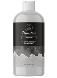 Honeydew Planative Activated Charcoal Shampoo for Oily Hair